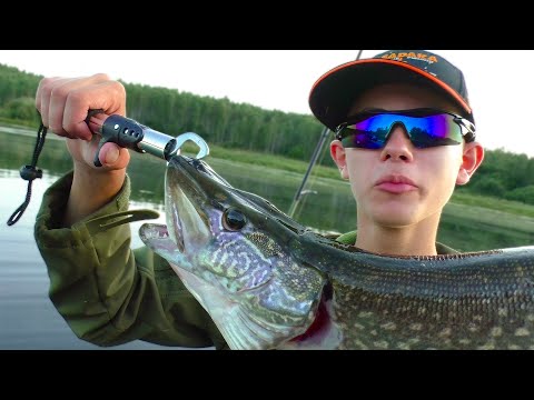 Видео: ЭТОТ ВОБЛЕР КОСИТ ВСЮ ЩУКУ В ПРУДУ ! Рыбалка на спиннинг