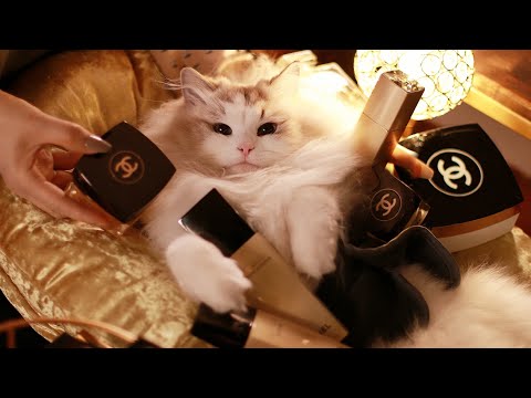 Видео: Самый дорогой золотой спа-салон Chanel в мире ASMR