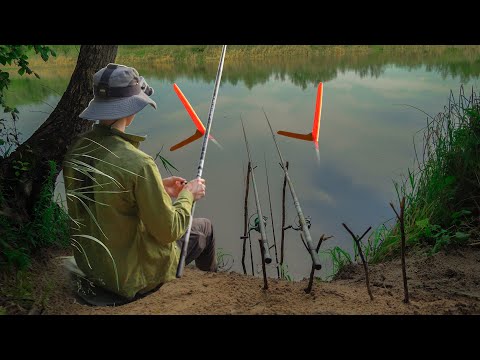 Видео: Рыбачу НОЧЬЮ на озере ГИГАНТОВ! Подошли ОГРОМНЫЕ лещи!