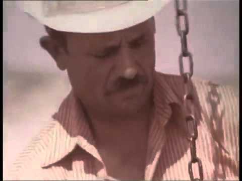 Видео: Ногайские чабаны 1979 год село Червлённые Буруны