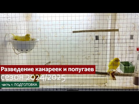 Видео: Разведение канареек и волнистых попугаев. Птицы переехали, старт нового сезона!