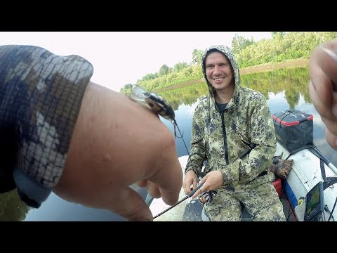 Видео: Полосатый накосячил. Рыбалка река сосьва 9.07.2025