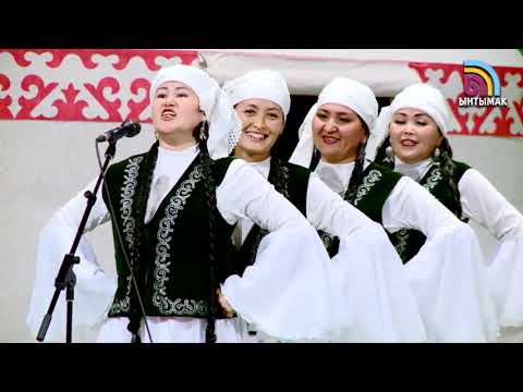 Видео: Сармерден: Алай менен Өзгөн райондорунун акыйнек  айтышы