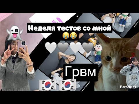 Видео: korean vlog:неделя теста со мной я не ожидала что будет так 
