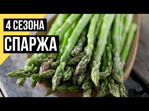 Видео: Четыре сезона. Спаржа