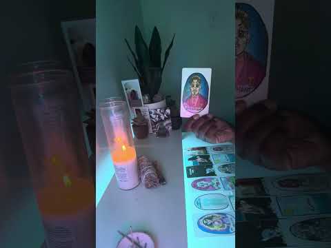 Видео: Коты вылезают из мешка... БЕЖАТЬ😂😂👹