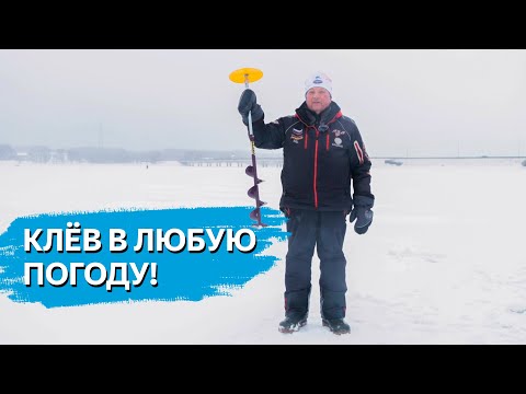 Видео: У МЕНЯ КЛЮЁТ ВСЕГДА! Ловим в любую погоду!