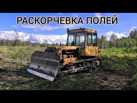 Видео: Раскорчёвка полей на ДТ-75.