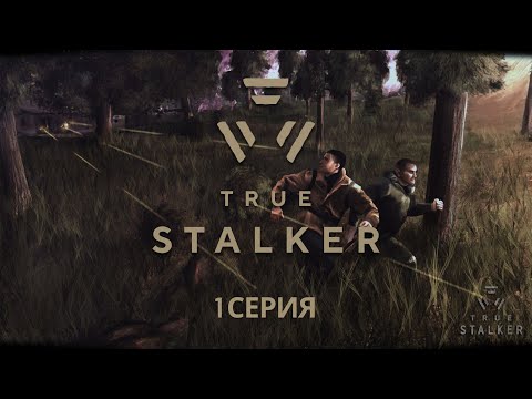 Видео: S.T.A.L.K.E.R. True Stalker #1 Сталкер Топор