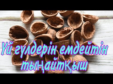 Видео: Үй гүлдеріне керемет тыңайтқыш ауырмай өседі.Үй гүлдерді аурудан сақтап тұрады. гүлдер әлемі