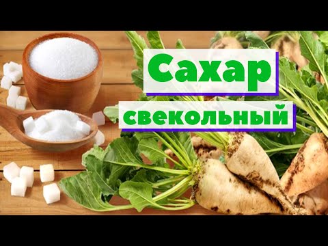 Видео: Сахар свекольный | Как это сделано