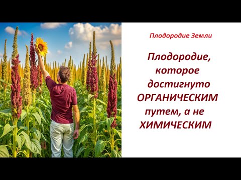 Видео: Обзор плодородия где потрудилась БАРМАТУХА №650/24