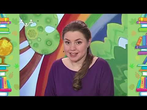 Видео: Школа Шишкиного Леса. Природоведение. Разноцветная осень