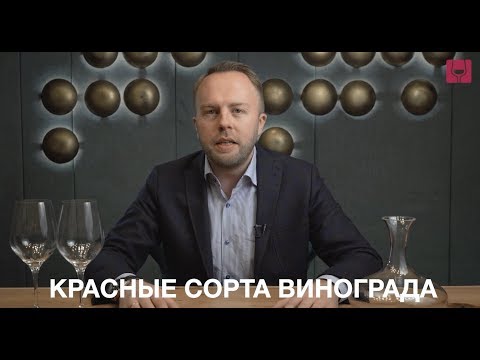 Видео: ТОП - 15 главных сортов винограда для производства вина. Часть 2 - красные.