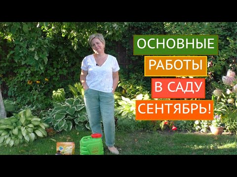 Видео: ОСНОВНЫЕ РАБОТЫ В САДУ В СЕНТЯБРЕ!!