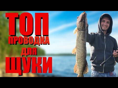 Видео: 👍 ТОПова ПРОВОДКА в РИБАЛЦІ на ЩУКУ!👍 Файна Рибалка І Назар Гарматюк