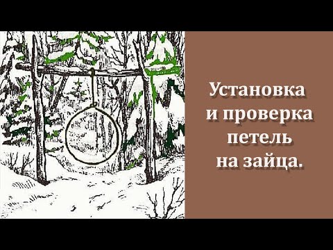 Видео: Петли на зайца.
