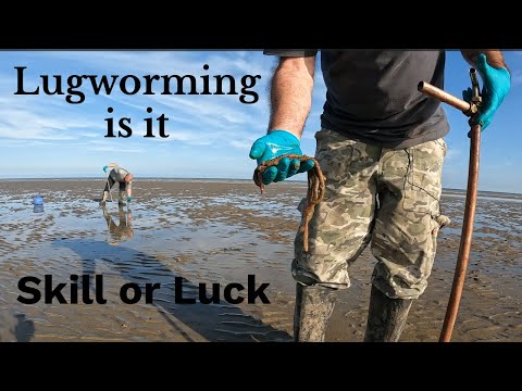 Видео: Есть ли навык, позволяющий наживлять свежего пескожила?