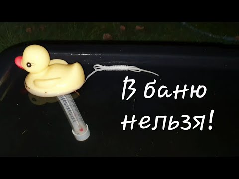 Видео: Отзыв о маске для волос. Зимнее время. Забрала посылку. Утку забираю, хватит ей морозить гузку. 
