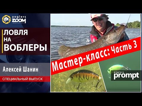 Видео: Ловля на воблеры. Мастер-класс Алексея Шанина. Часть 3. Anglers Prompt