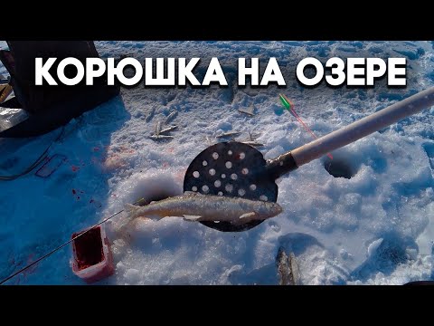 Видео: Рыбалка корюшки на озере с новым буром