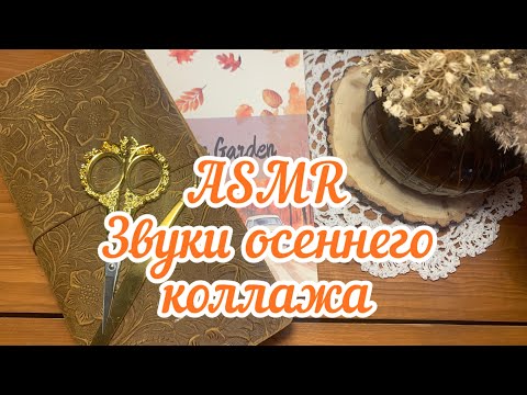 Видео: ASMR😴Звуки для сна и отдыха🌿Видео без слов🌿