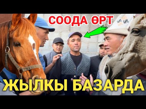 Видео: Базар-Коргон мал базары арзан экен.