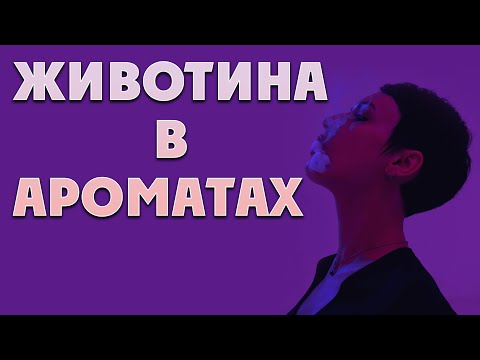 Видео: Животные ноты в парфюмерии. Мускусы.