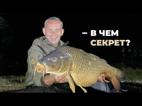 Видео: 5 СЕКРЕТОВ КАРПОВОЙ РЫБАЛКИ