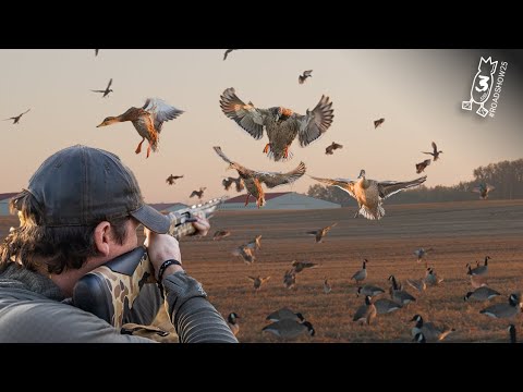 Видео: ЛУЧШАЯ ОХОТА НА УТОК И ГУСЕЙ В СЕВЕРНОЙ АМЕРИКЕ! | #ROADSHOW25 HUNT 3