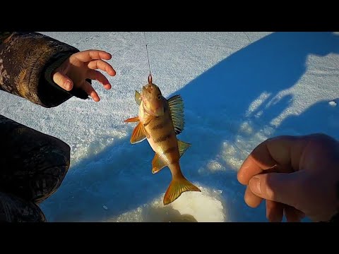 Видео: МЫ С МАКСИМОМ НЕ ВЫДЕРЖАЛИ И РВАНУЛИ НА ПРАЗДНИЧНУЮ РЫБАЛКУ! ХАПНУЛИ РЫБЫ И УДОВОЛЬСТВИЯ МОРЕ)!