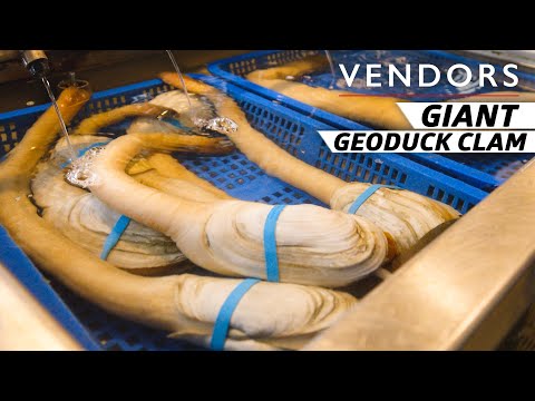 Видео: Как выращивают одного из самых крупных и дорогих моллюсков — Поставщики