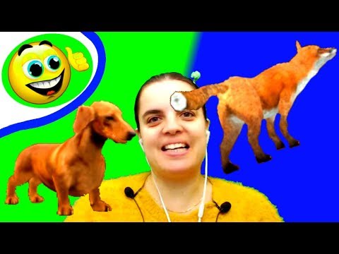 Видео: БолтушкА ВеселушкА КОНЬ Такса и ЛИСА в ДОГ Сим! Игра Дог Симулятор