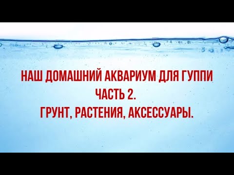 Видео: ДОМАШНИЙ АКВАРИУМ ДЛЯ ГУППИ. ЧАСТЬ 2. ГРУНТ, РАСТЕНИЯ, АКСЕССУАРЫ./A HOME AQUARIUM FOR GUPPIES PART2