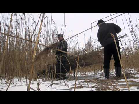 Видео: Кормушка для фазанов