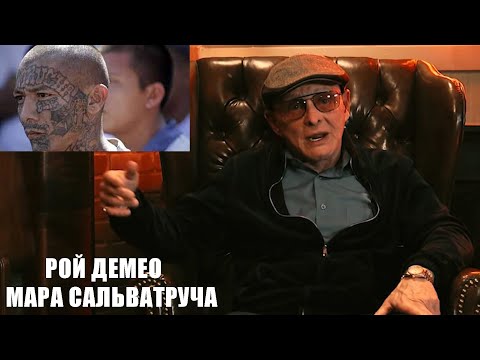 Видео: Сэмми Бык Гравано о Рое Демео, насилии, Мара Сальватруча
