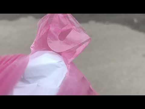 Видео: Ну что мои хорошие я уже дома