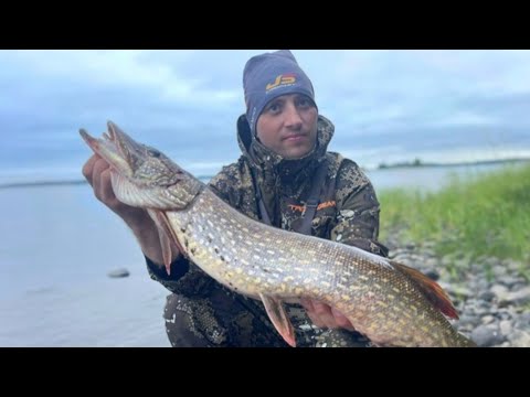 Видео: Маленькое приключение в Карелии! Водлозеро !