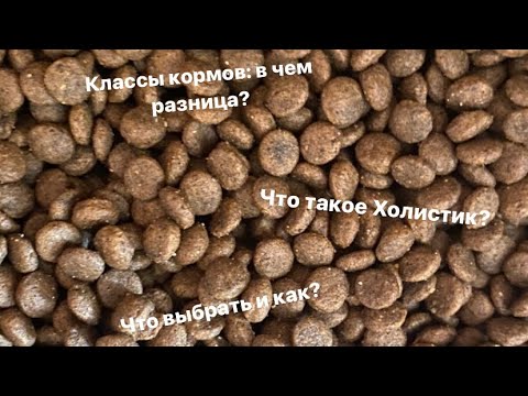 Видео: Чем отличаются корма эконом, премиум и суперпремиум классов? Что такое Холистик?