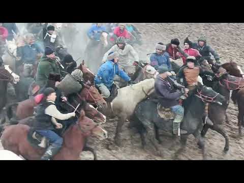 Видео: БУЗКАШИ ДАР НОҲИЯИ ТЕМУРМАЛИК ҶОРУБҚУЛ АХИР ЭЪЛОН КАРД МАРҲАМАД ЛАЙК МОН ТАМОШО КУН РАҲМАТ ПЕШАКИ
