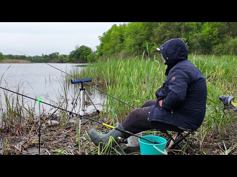 Видео: ТАКОГО НЕ ОЧІКУВАВ! Дощ, багно та шалений кльов!
