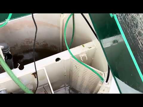 Видео: Песочная вода , малахит под угрозой