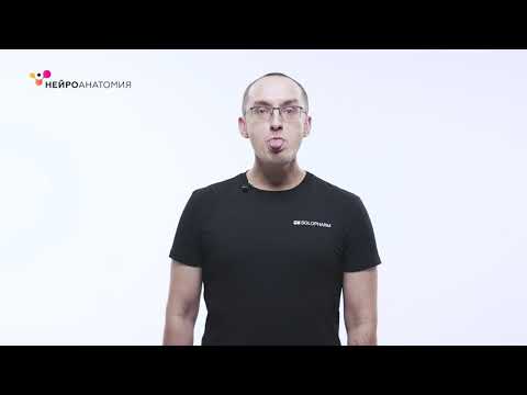 Видео: Восстановление речи после инсульта