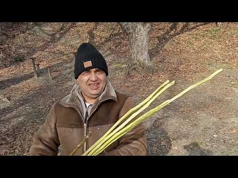 Видео: Македонска наденица на шиш печена на жар!