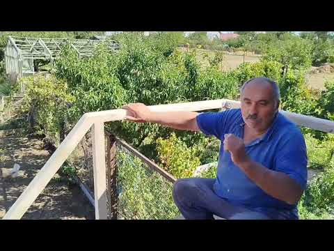 Видео: Строительство вокруг моей голубятни заканчивается.