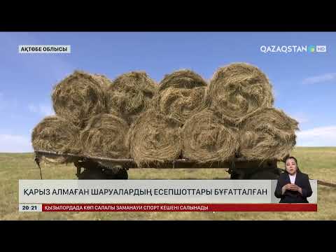 Видео: Ақтөбе облысында қарыз алмаған шаруалардың есепшоттары бұғатталған
