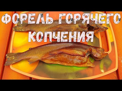 Видео: Радужная форель горячего копчения. Простой рецепт форели.