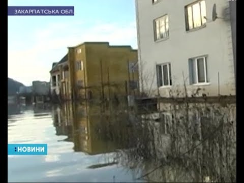 Видео: Село Вільхівка в Іршавському районі найбільше постраждало внаслідок паводку