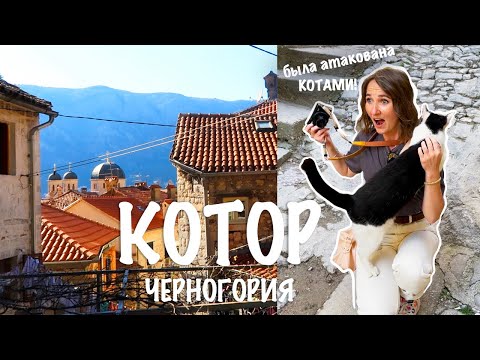 Видео: Котор, Черногория| Котики |Прогулка по самому красивому и любимому городу