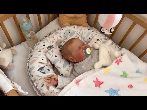Видео: Утро с Реборном Девидом ☀️🍼🐣/Rolplay